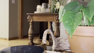 The land - Part 1