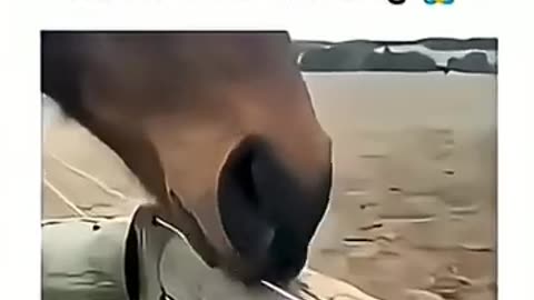 Random meme I found at 6 AM