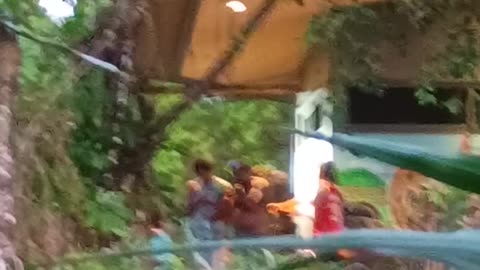 3.12.2025 Party in the Park, Kuranda