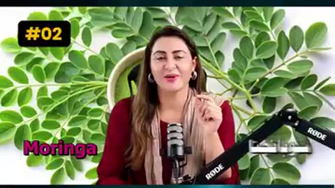 Opening of heart Arteries