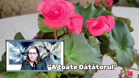 OLTEA HOZAN -ATOATEDĂTĂTORUL- #editor Vlentin Trif #caleacătrerai #poezie #poetry #subscribenow