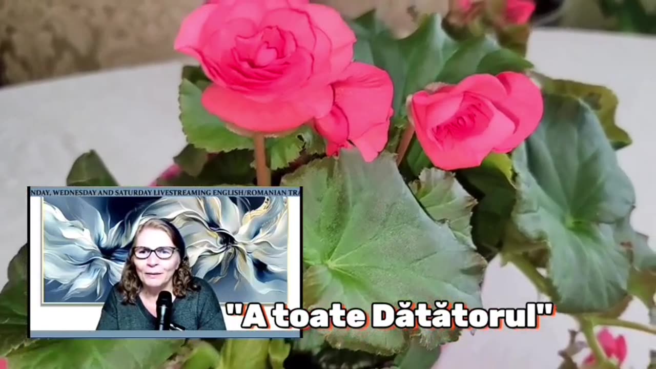 OLTEA HOZAN -ATOATEDĂTĂTORUL- #editor Vlentin Trif #caleacătrerai #poezie #poetry #subscribenow