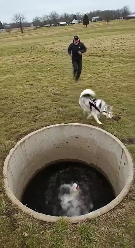 Animal warning to humans