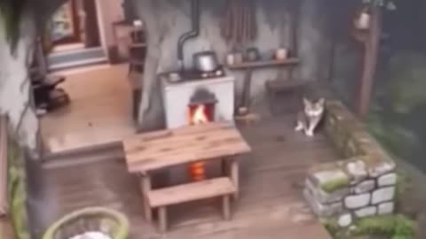 Cliffside Cave Resort.