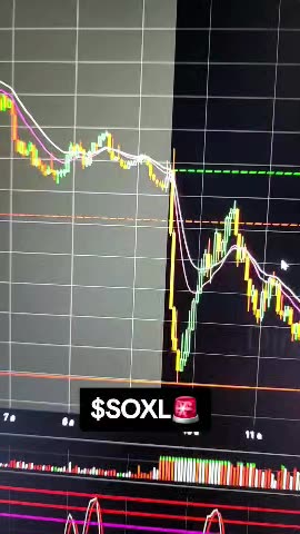 $SOXL 🚨