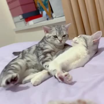 True Love. 😻❤🥰