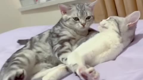 True Love. 😻❤🥰