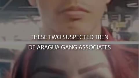 Homeland Security: Defend the Homeland. Protect the American way of life