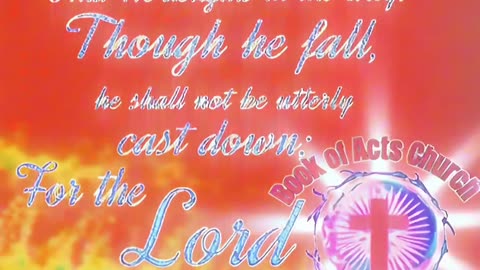 God orders our steps & stops! 🛑