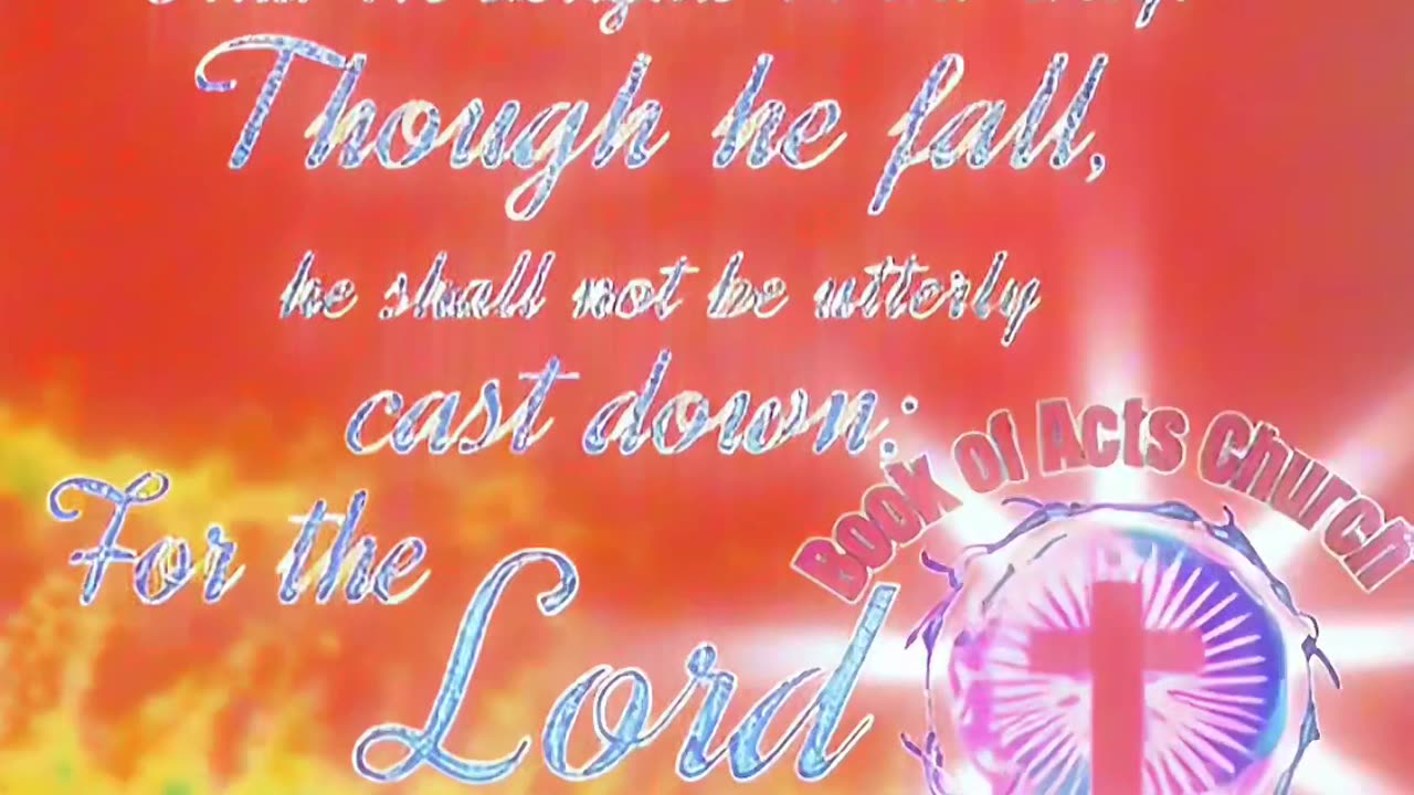 God orders our steps & stops! 🛑