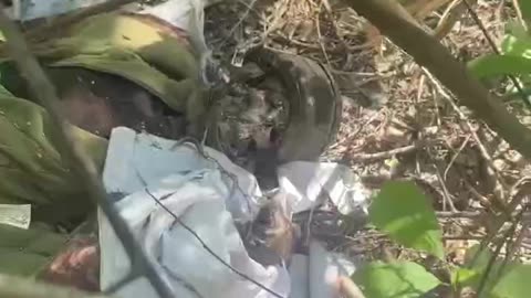 Ukraine war combat /related footage 11/16/2025