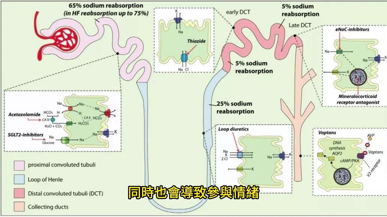 孤獨傷身！親友相伴 降心臟病、中風風險