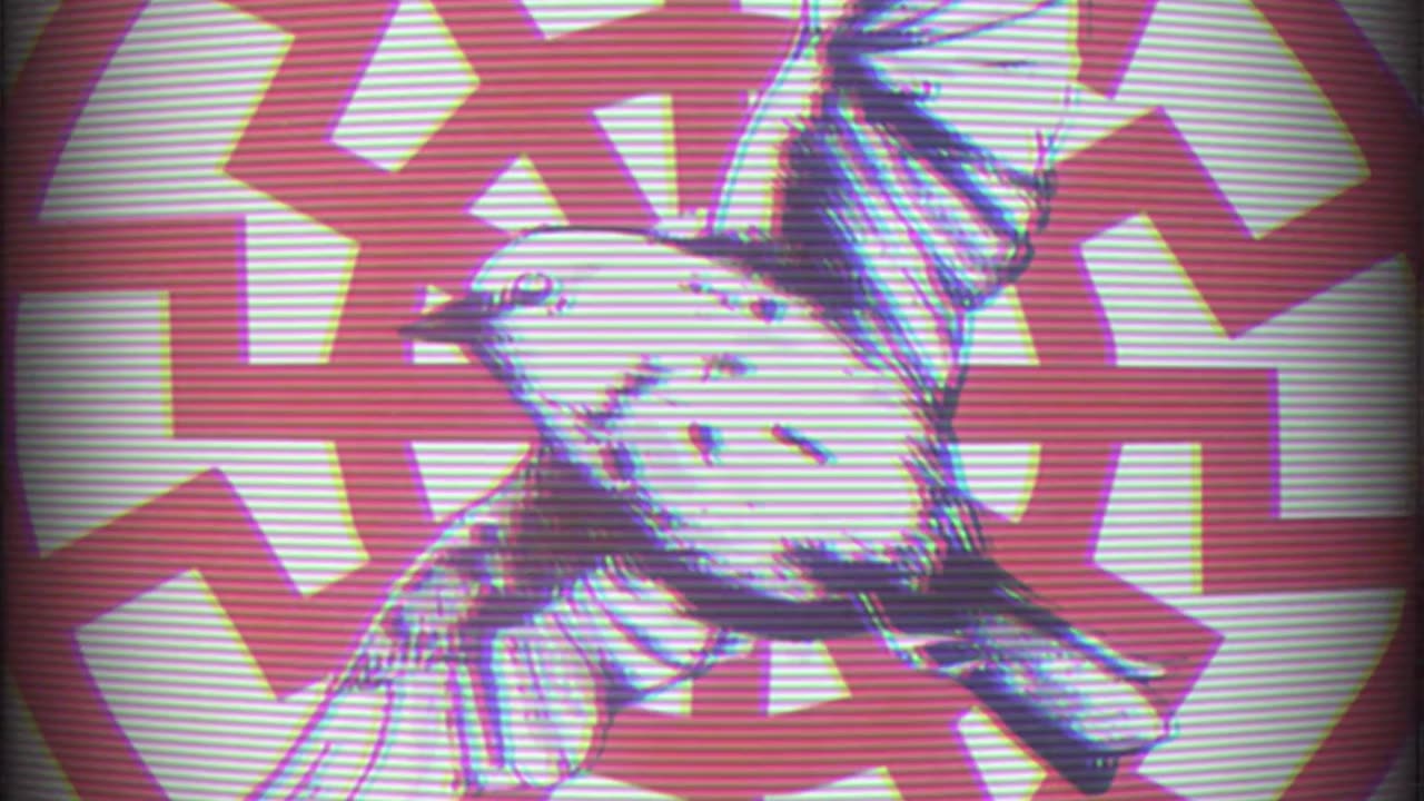 Warbler's Wehrmacht - Come Together