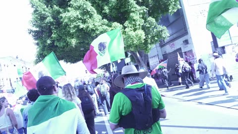 Los Angeles No Kings Protest Mashup (6-14-25)