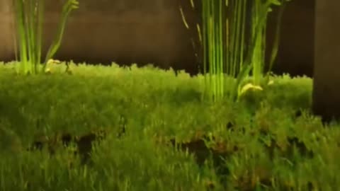 Inside The Backrooms Funny Moments | #insidethebackrooms #horror #horrorgames