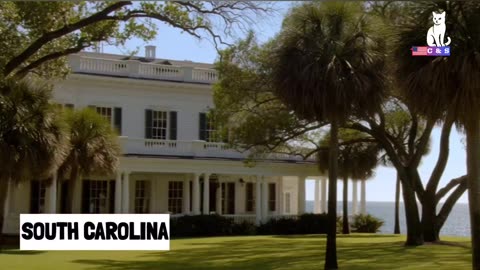 Breaking News: Major Incident in South Carolina – Dozens Affected at Island Bar