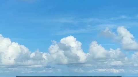 Daily Horoscope | Taurus 🌟