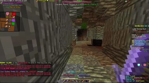 Skyblock FLOOR 7 [#1396]