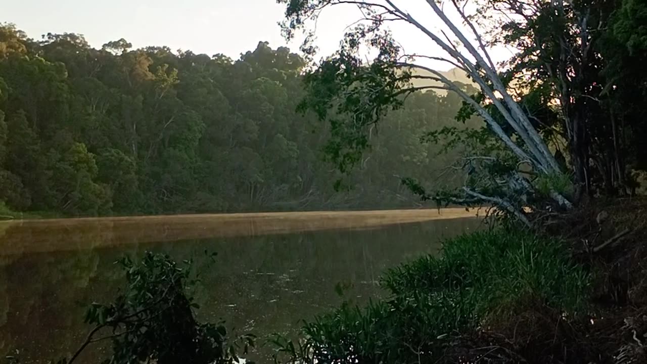 9.1.2025 The Barron River, Kuranda