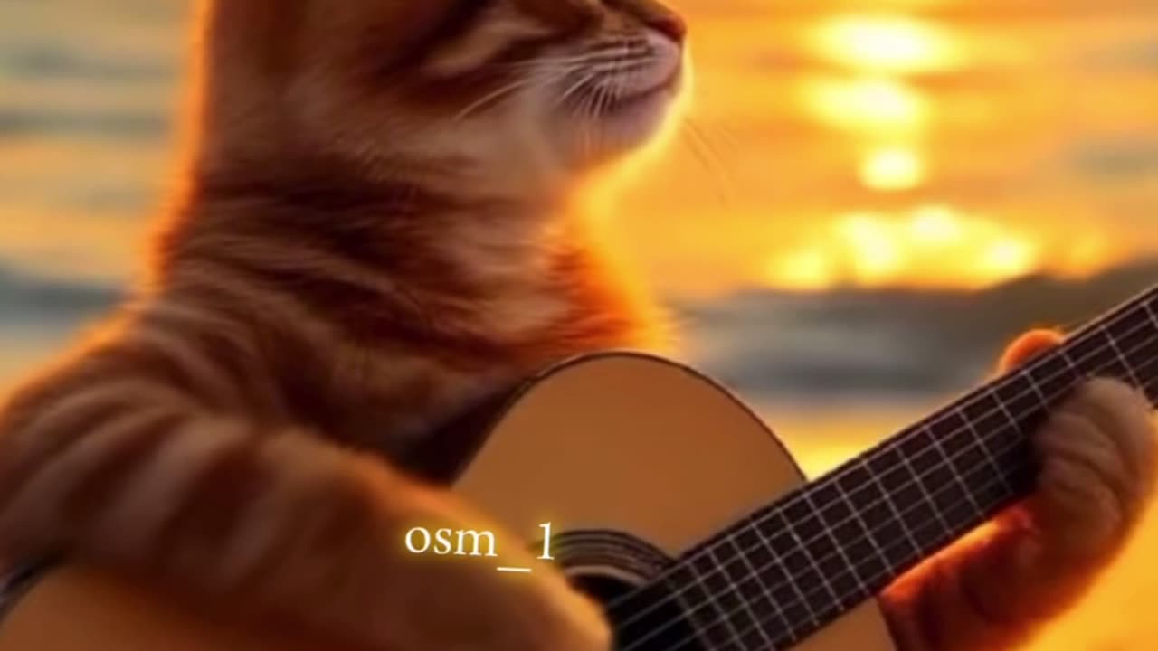 Romantic cat singing a song