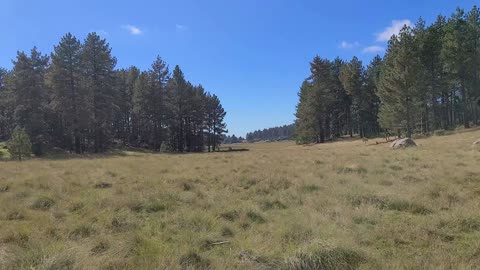 Hiking Mt. Laguna 8b - Agua Dulce
