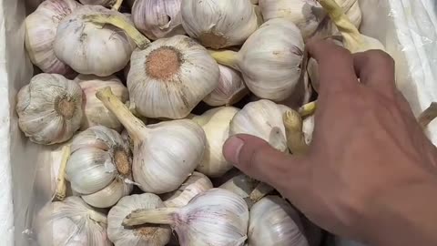 #好好吃饭大赛 麻辣小海鲜～扇贝肉#年轻人生存料理指南 #开灶吧年轻人 #美食教程 #抖音美食创作者