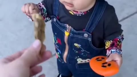 Cute Fluffy Animals in Trouble