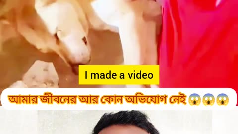 👉 “জীবনের এই একটুখানি মায়া দেখেই মনে হল, অভিযোগ নয় — কৃতজ্ঞতা শেখাই জীবন 🐶❤️”
