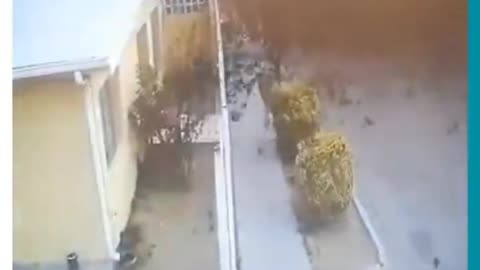 Very strange, it's as if a D.E.W. or 5G waves had hit the group of birds.๐