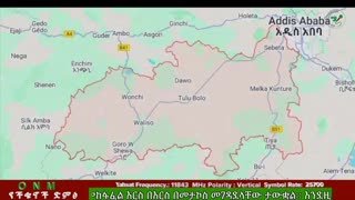 የካቲት 11-2025 ONM-ABO እለታዊ የኦሮሞ ነፃነት ሰራዊትና የኦሮሚያ ውሎ!