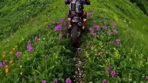 See The Whole World See This Beautiful Ride