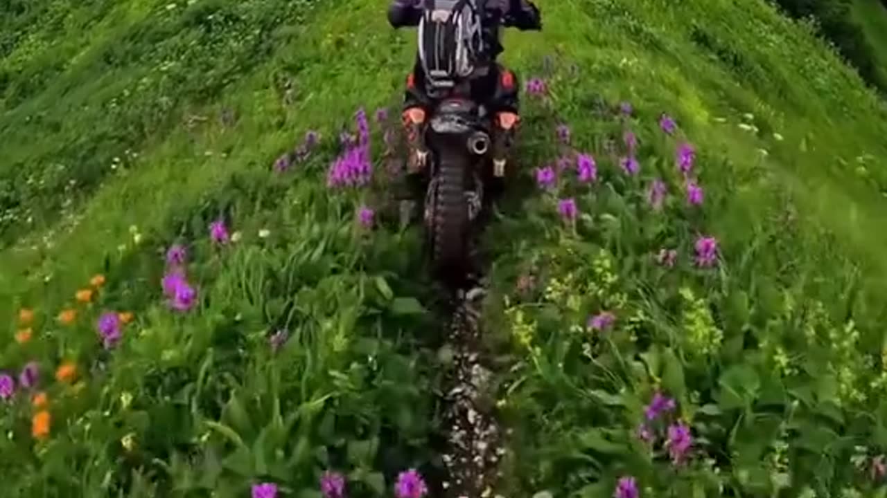 See The Whole World See This Beautiful Ride