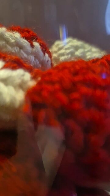 Bucket Full of Hearts