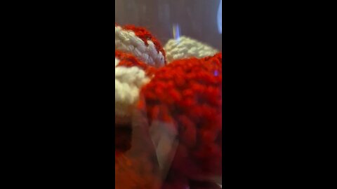 Bucket Full of Hearts