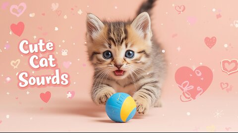 👉 Sweet Kitten Playtime | Relaxing and Adorable Cat Sounds