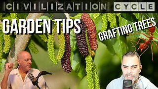 Garden Talk - Hog Panels, Mulberries, Figs, Varmints, FIRE ANTS | Civ Cycle CLIPS