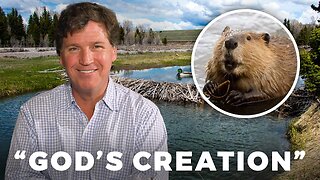 Tucker’s Morning Routine and Daily Encounter With an Angry Beaver