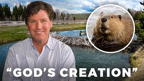 Tucker’s Morning Routine and Daily Encounter With an Angry Beaver
