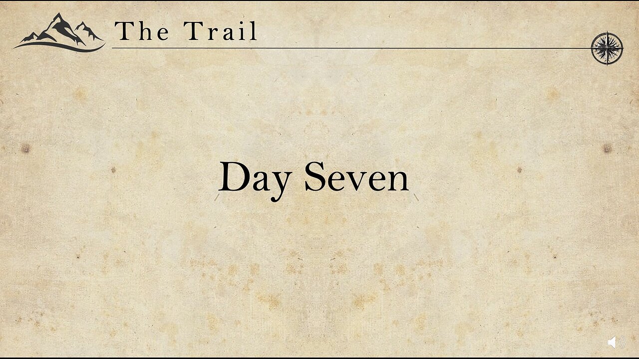 Day 7
