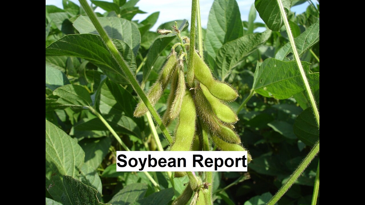 Government Shutdown Keeps Positions Small