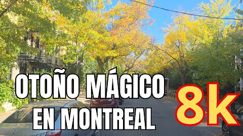 Me enamoré de esta calle en Montreal: ¡Pura Magia de Otoño!