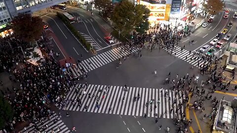 People crossing on a busy Pedestrian -Japan