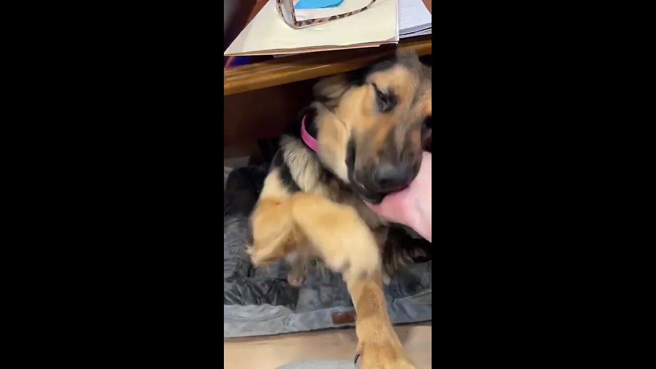 Thank you to the family who decided to keep her.
