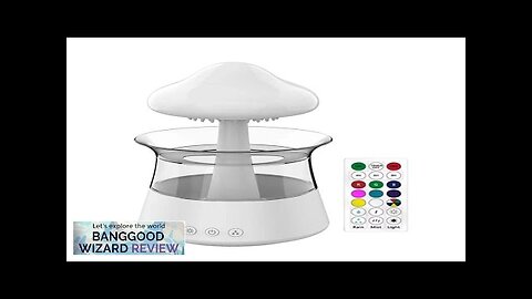 Smart Evaporative Raindrop Humidifier Air Purifier & Aroma USB Rerchargeable Portable Mini Review