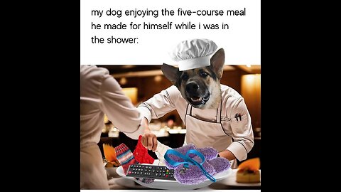 Just trying to help 2