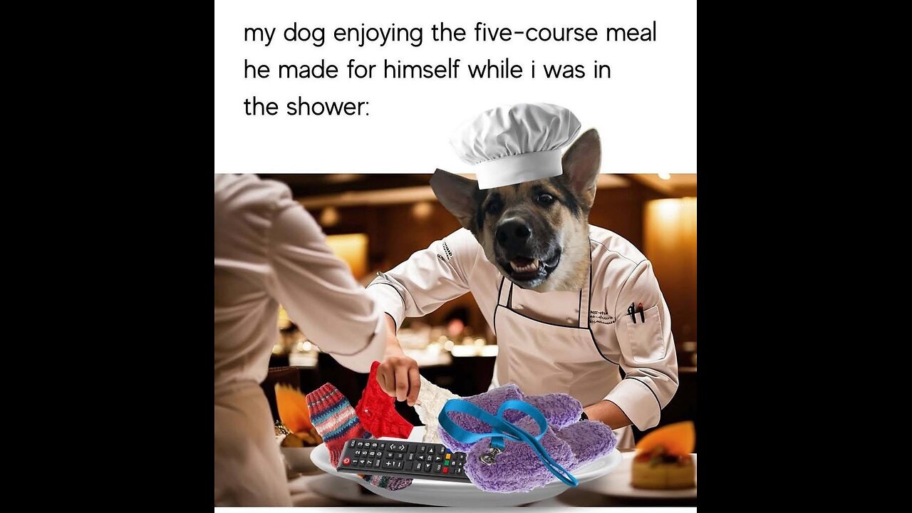 Just trying to help 2