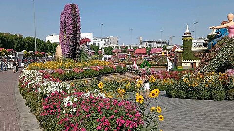 Short View Dubai Miracle Garden .