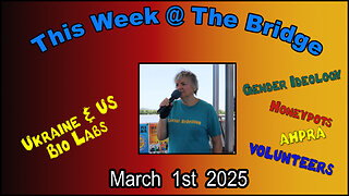 This Week At The Bridge Part 1 - Various Updates with Tine