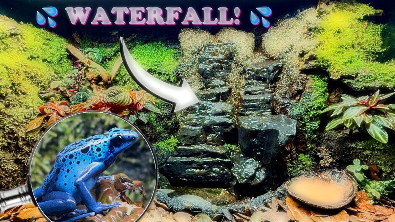 Waterfall Ecosystem That Actually Works! 🐸 💦