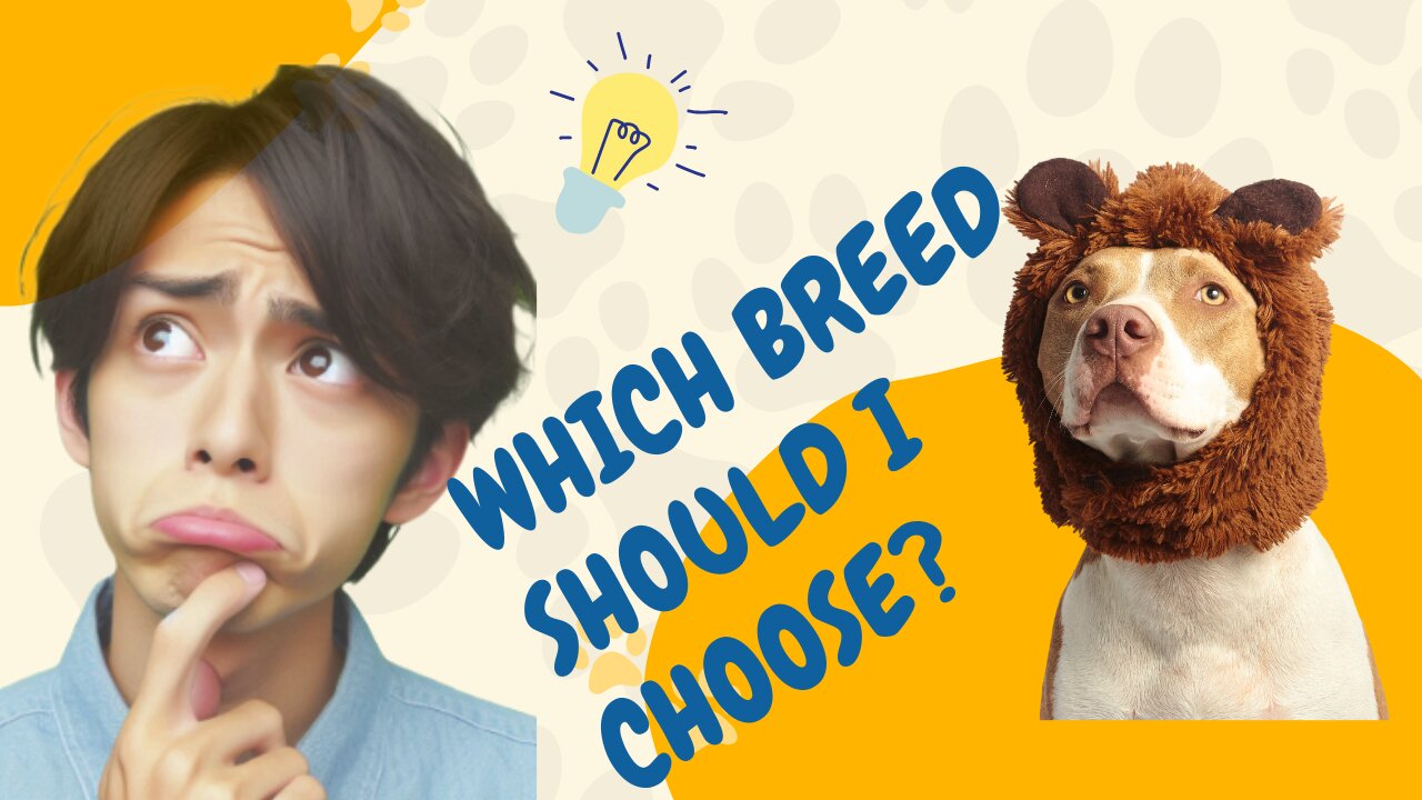 Which Breed Should I Choose ?